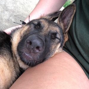 Meet your Posher, Destiny